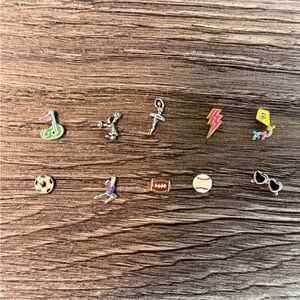 Origami Owl Set of 10 Various Charms